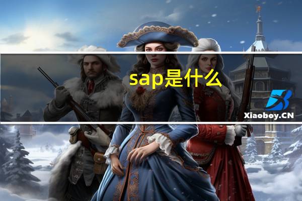 sap是什么