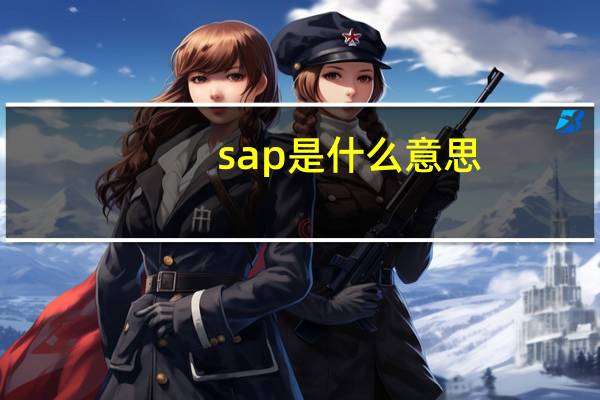sap是什么意思