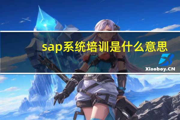 sap系统培训是什么意思