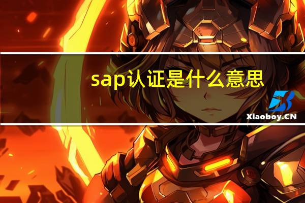 sap认证是什么意思