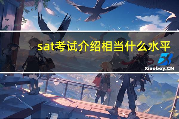 sat考试介绍相当什么水平
