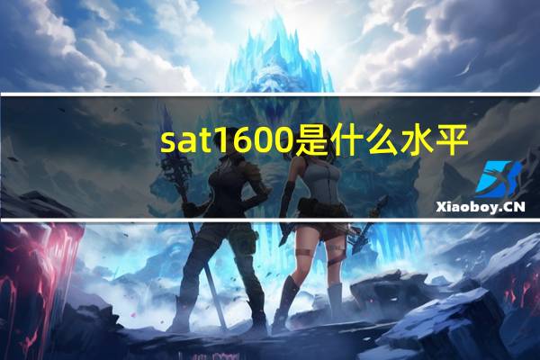 sat 1600是什么水平