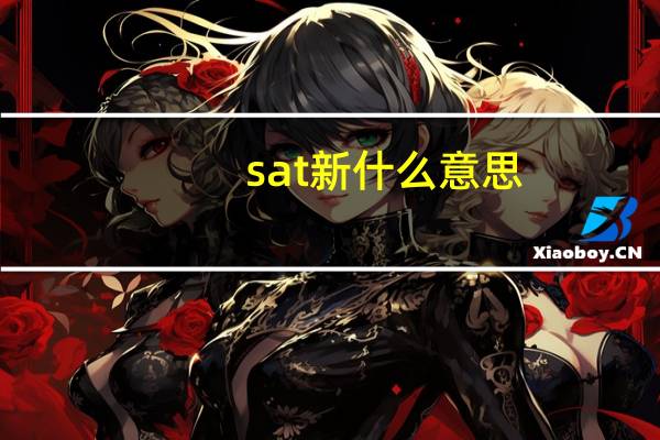 sat新什么意思