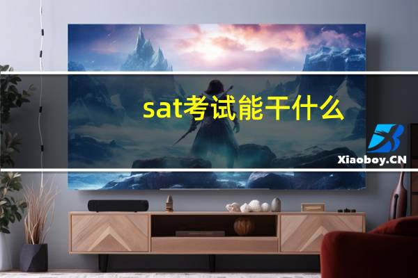 sat考试能干什么
