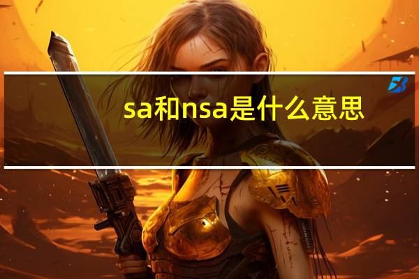 sa和nsa是什么意思