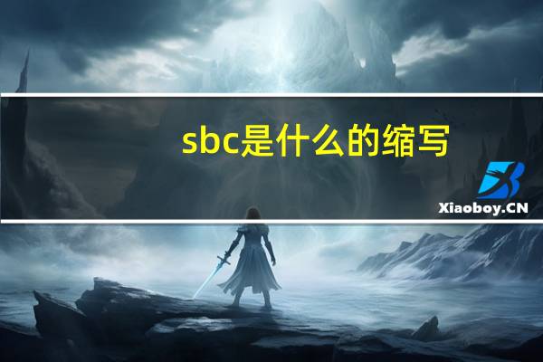 sbc是什么的缩写
