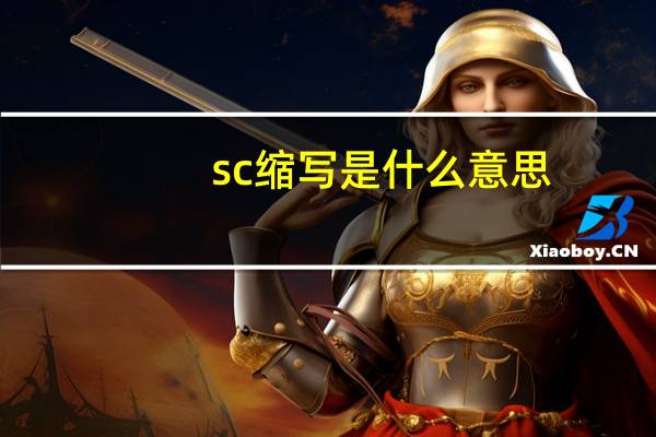 sc缩写是什么意思