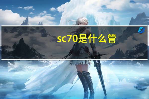 sc70是什么管