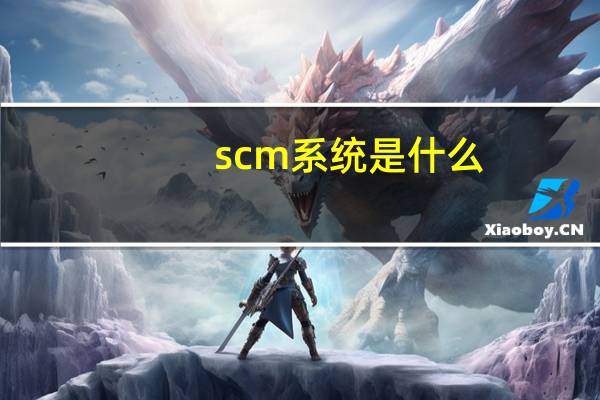 scm系统是什么