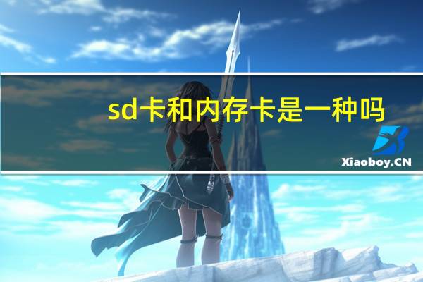 sd卡和内存卡是一种吗(sd卡和内存卡的区别)