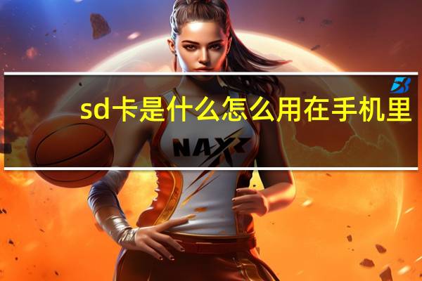 sd卡是什么怎么用在手机里（sd卡是什么）