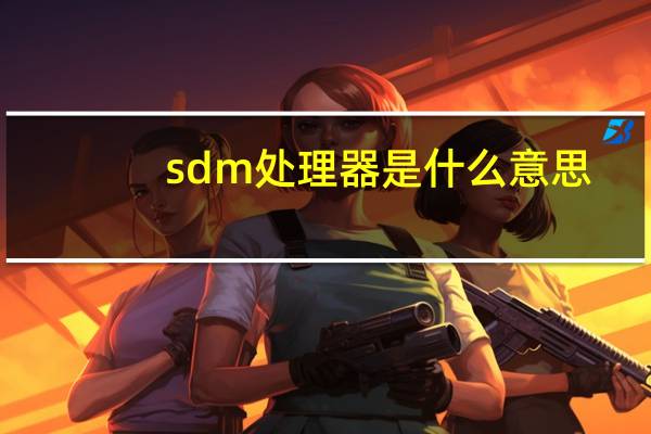 sdm处理器是什么意思