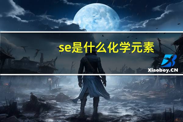 se是什么化学元素