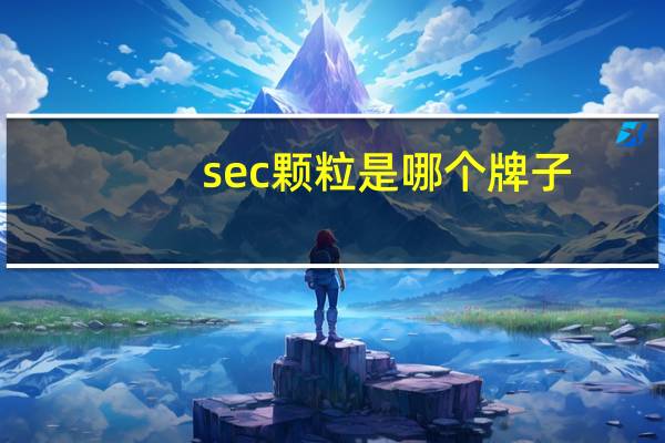 sec颗粒是哪个牌子