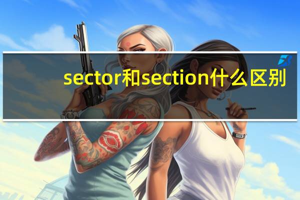 sector和section什么区别？