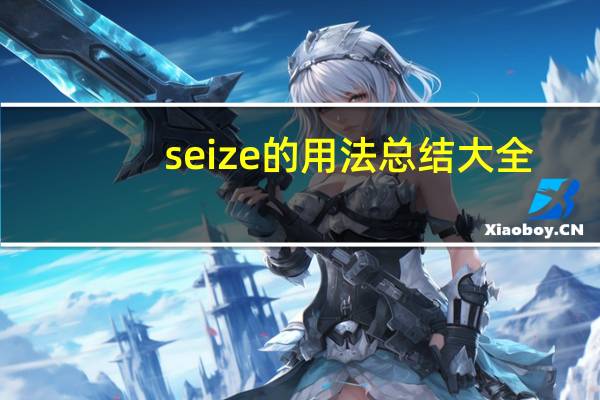 seize的用法总结大全