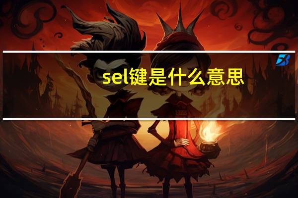 sel键是什么意思