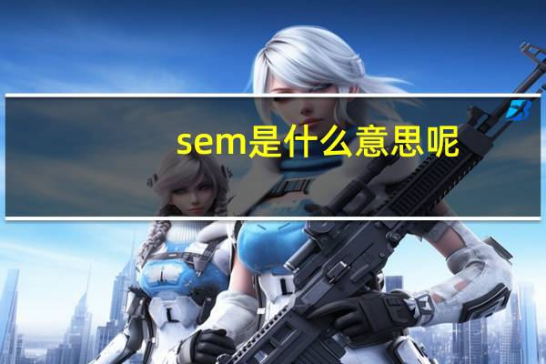 sem是什么意思呢