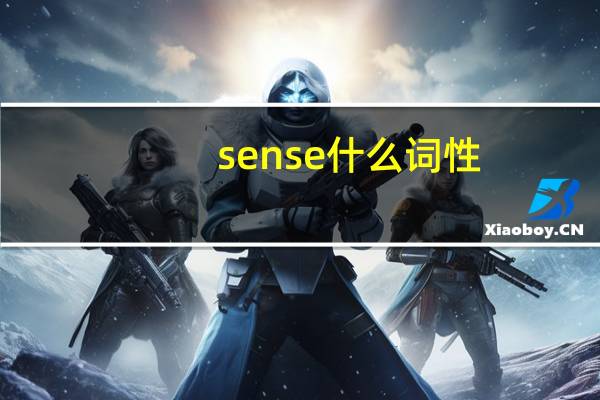 sense什么词性
