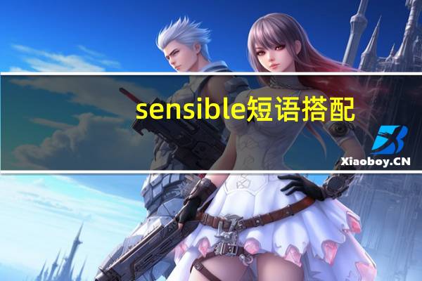 sensible短语搭配
