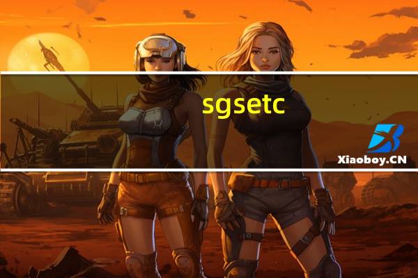 sgsetc.exe应用程序错误0xc000014