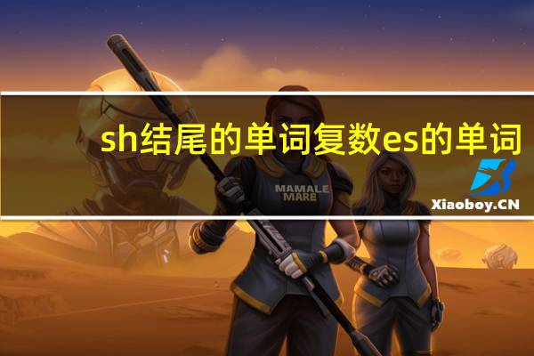 sh结尾的单词复数es的单词