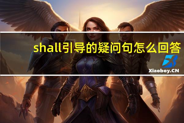 shall引导的疑问句怎么回答