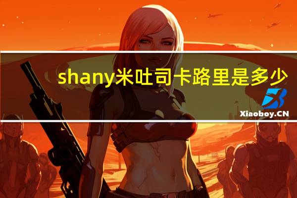shany 米吐司卡路里是多少