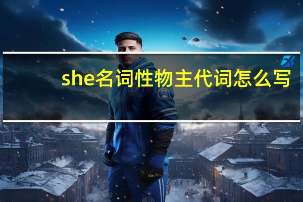 she名词性物主代词怎么写
