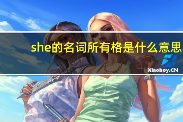 she的名词所有格是什么意思