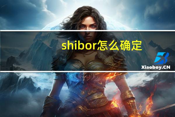 shibor怎么确定