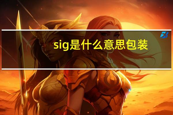 sig是什么意思包装