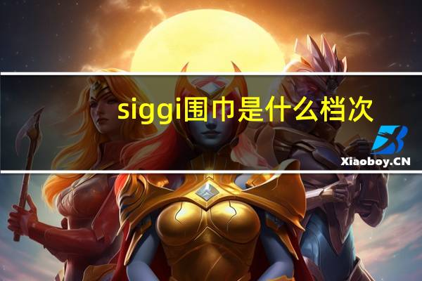 siggi围巾是什么档次