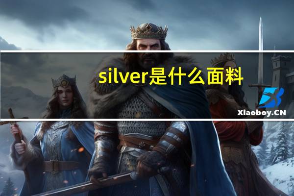 silver是什么面料