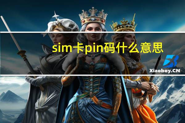 sim卡pin码什么意思（sim卡pin码）