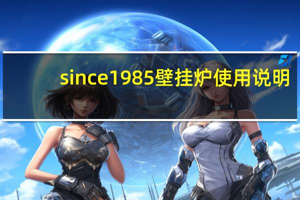 since1985壁挂炉使用说明