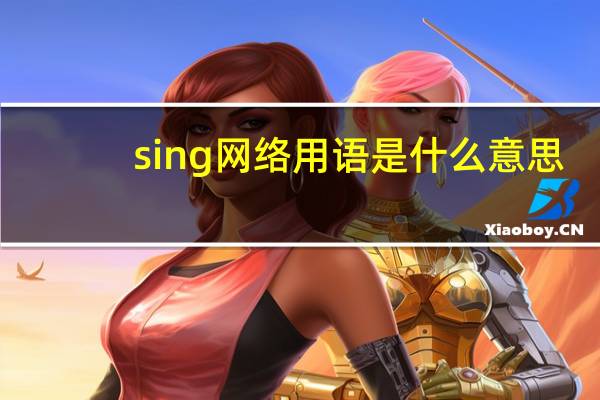 sing网络用语是什么意思