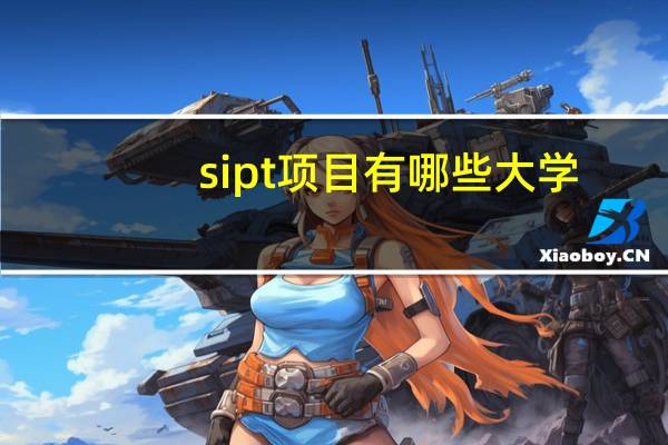 sipt项目有哪些大学
