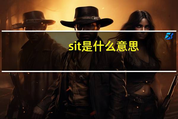 sit是什么意思