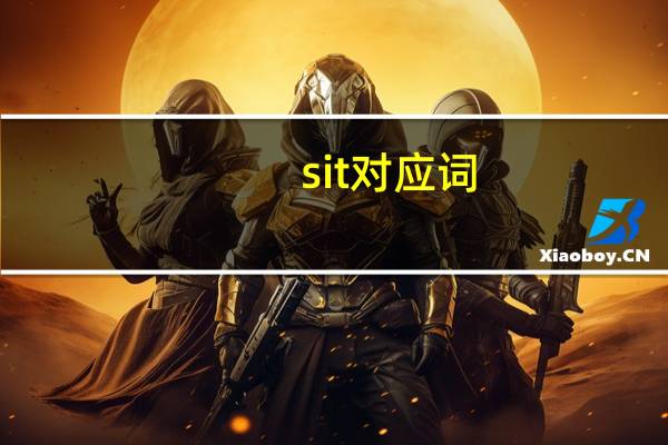 sit对应词