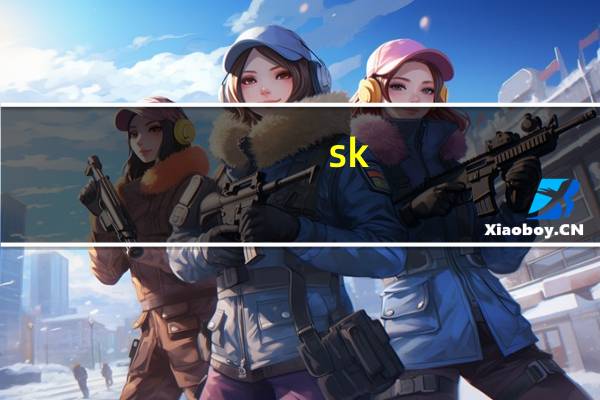 sk-ll是什么牌子