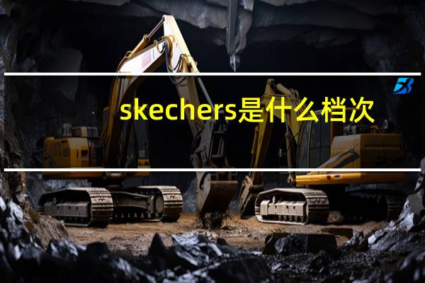 skechers是什么档次