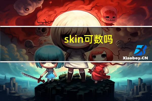 skin可数吗