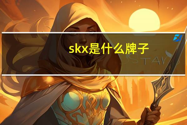 skx是什么牌子