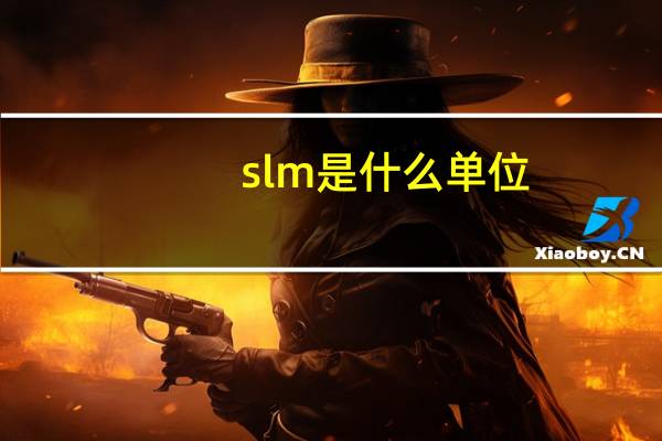 slm是什么单位