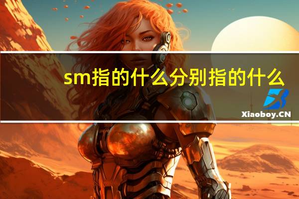 sm指的什么分别指的什么