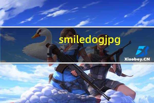 smile dog jpg（smile dog jpg）