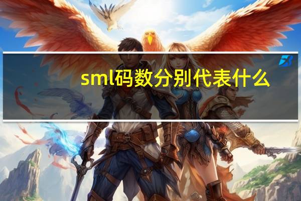 sml码数分别代表什么（sml）
