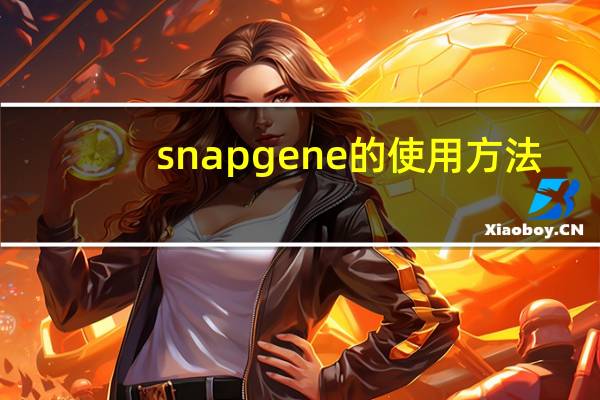 snapgene的使用方法