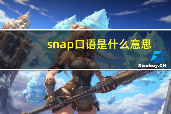 snap口语是什么意思